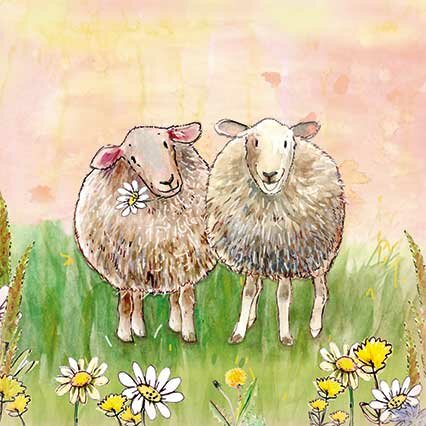 Sheep