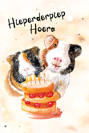 Hieperderpiep hoera