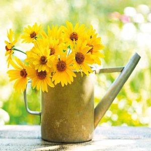 Floral watercan greeting card