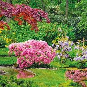 Gardens Greeting card