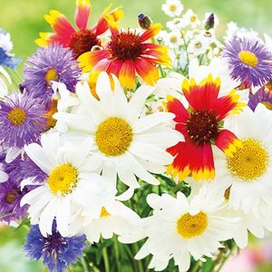 Flowers Greeting card