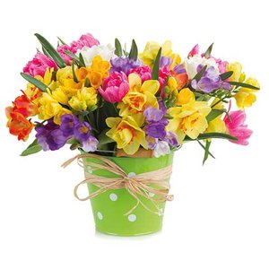 Floral bouquet Greeting card