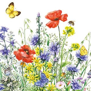 Natures Charm Greeting card