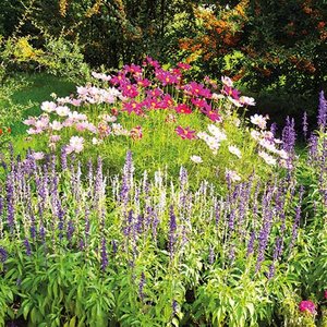 Wild flowers Greeting card