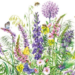 Charm of nature Greeting card