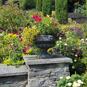 Floral Garden Greeting card