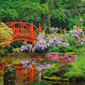 Beautiful Garden Greeting card