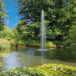 Fountain Greeting card