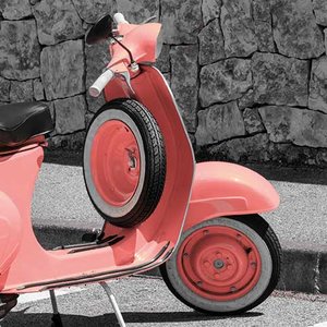 Scooter Greeting card