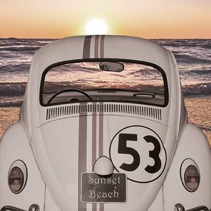 Sunset Beach Beetle Greeting card