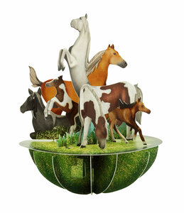 Pirouettes - Horses and Ponies