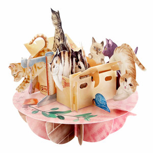 Pirouettes - Purrrfect Parcel 