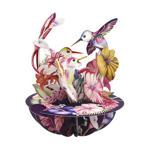 Pirouettes - Hummingsbirds Blush