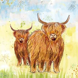 Scottish Highlanders